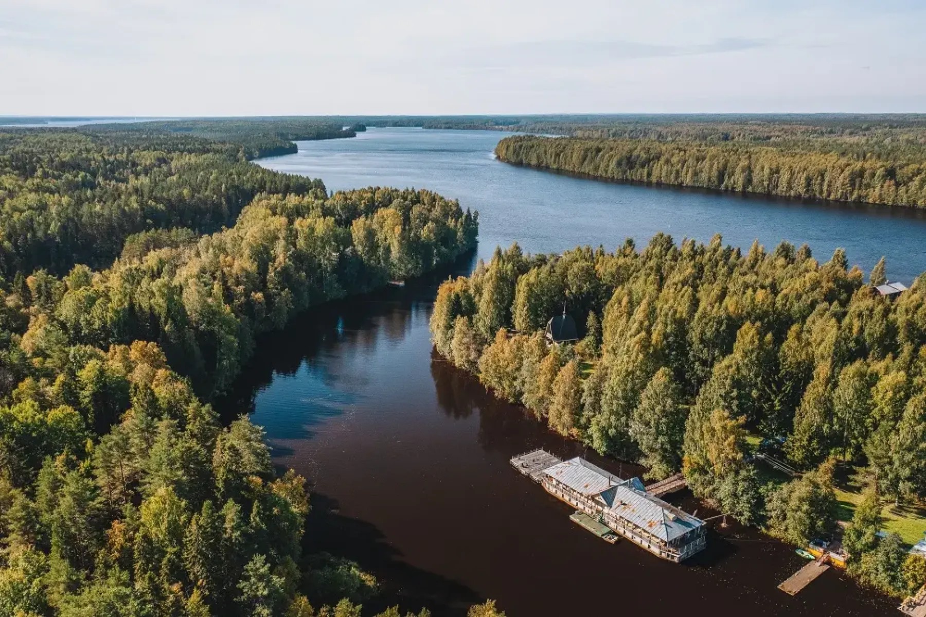 Мандроги